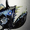 Angler Fish