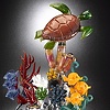 Turtle Coral Reef 