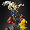 Coral Reef