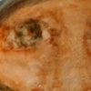 Preservatives