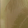 Here is part of a mural I did in the new Billabong store in Watertower Mall in Chicago.
