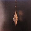 Emerge