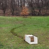 Untitled Sculpture 2012
(Installed in Prospect Park, Brooklyn)
