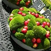 Apple Topiaries