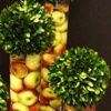 Permanent Boxwood Topiary