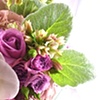 Lavender Wedding