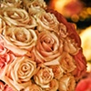 Sahara Roses