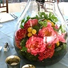 Terrariums