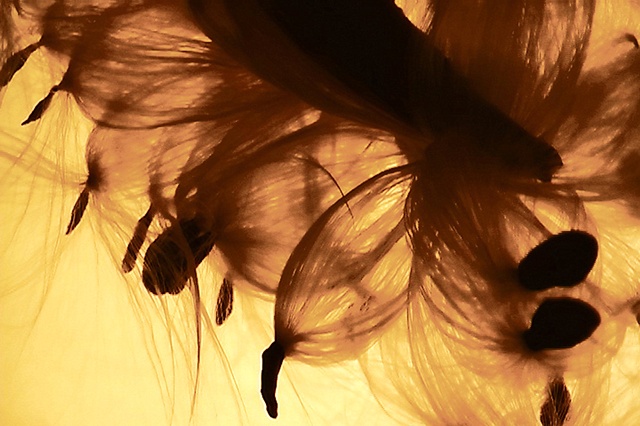Floating II video still