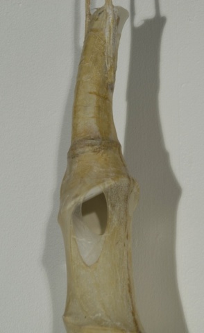 Tubes I (detail)