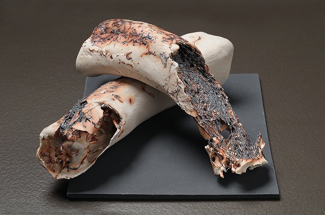 Remains III