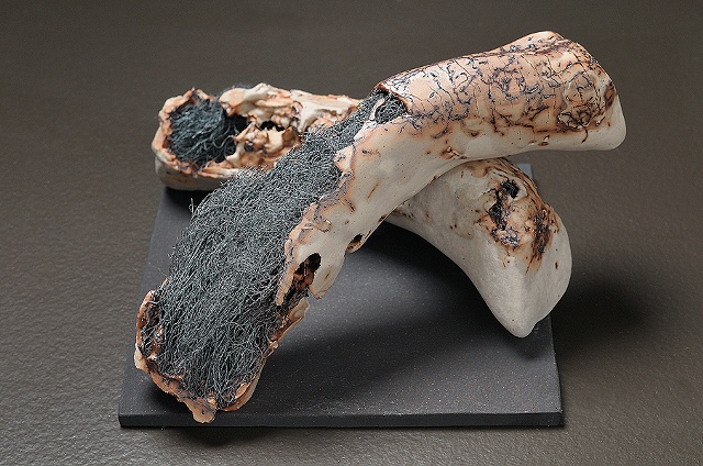 Remains IV