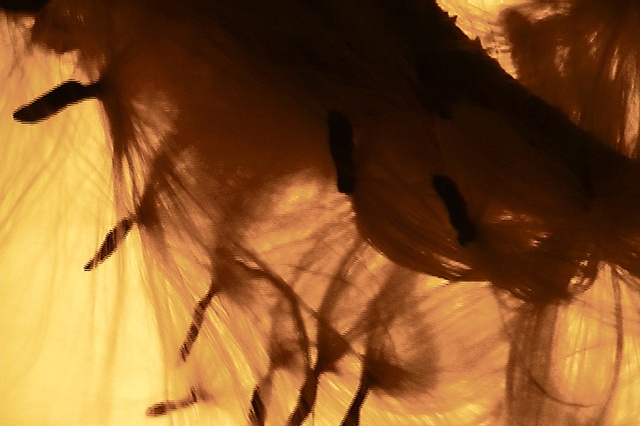 Floating III video still