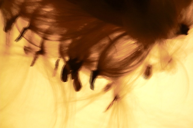 Floating VII video still 