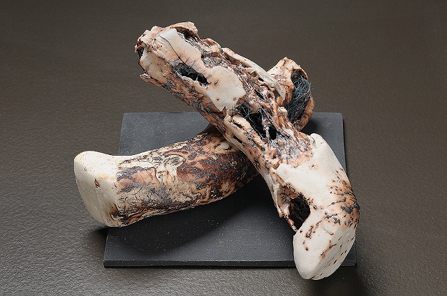 Remains V