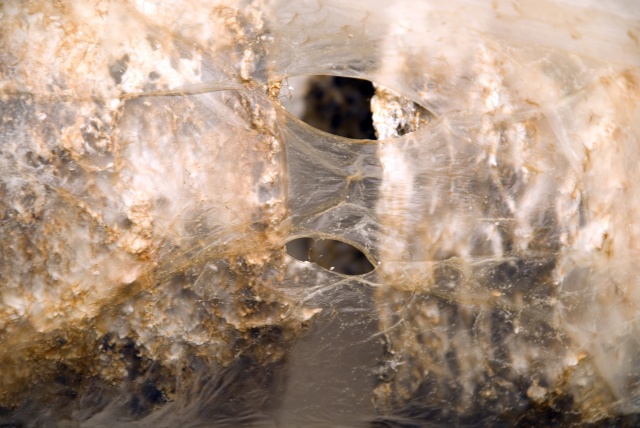 Tubes II (detail)
