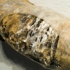 Tubes II (detail)