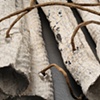 Mesh III detail