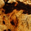 Tubes VI  (detail)