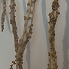 Weeds & Gut detail