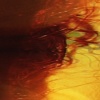 My Life in the Bush of Ghosts- video sample from residency with Gary Vlasic