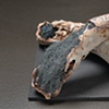 Remains IV