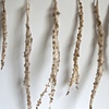 Weeds & Gut