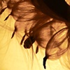 Floating II video still