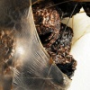 The sum of One's Life (detail)