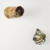 Envelop  - variation