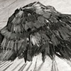 Collapse