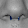Septum