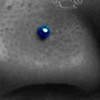 Nostril