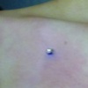 Collar Bone