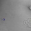 Single Point Piercings (Micro Dermals) On The Hips