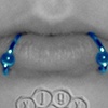 Double Lip (Snake Bites)