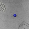 Single Point Piercing (micro Dermal) On The Madison