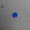 Single Point (Micro Dermal) on the Side of the Neck