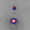Basic Navel (Belly Button)