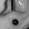 Top of the Cartilage (Helix) to the Antitragus Industrial