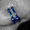 Double Nostril
