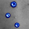 3 Single Point Piercings (Micro Dermals) on the Temple