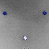 5 Single Point Piercings (Mirco Dermal) in One Sitting