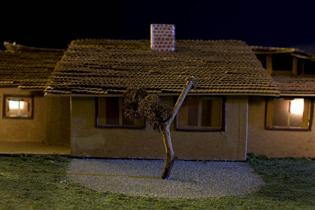 Lost Treetop, 1984