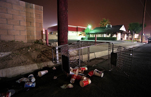 Fallen Cart, Leroy St.