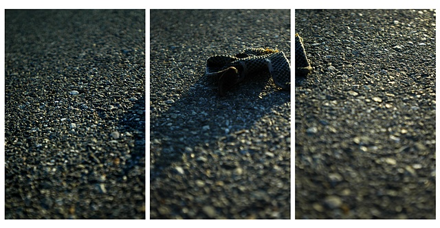 Glove, San Bernardino