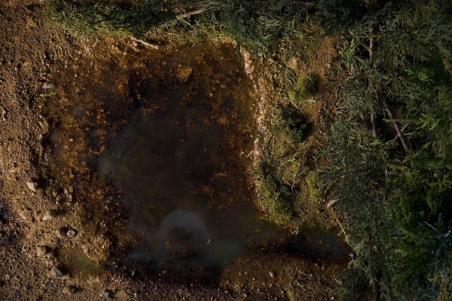 The Water Hole, AKA Deep Creek, 1994-2001