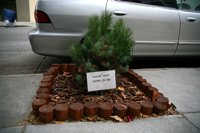 San Francisco, 2008