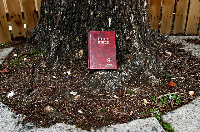 Reno, 2006