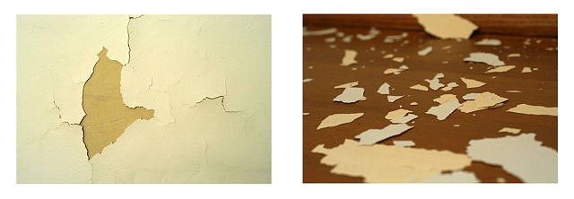 Paint Chips